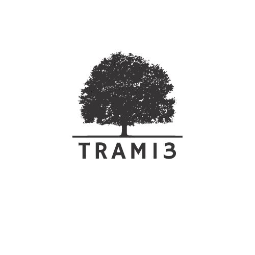 tram13.vn
